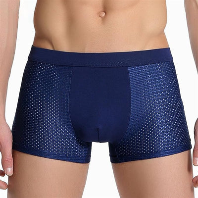 Max | Seidige Mesh-Boxershorts für Männer(2+2 GRATIS)