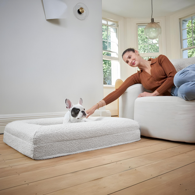 Orthopädisches Hundebett
