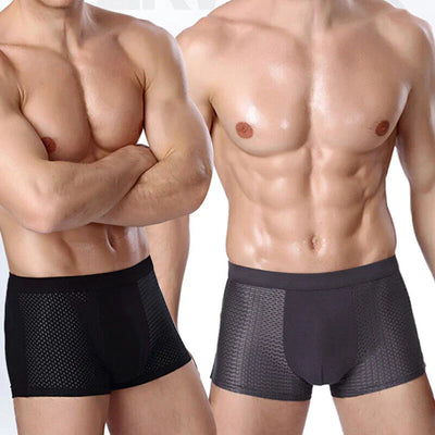 Max | Seidige Mesh-Boxershorts für Männer(2+2 GRATIS)